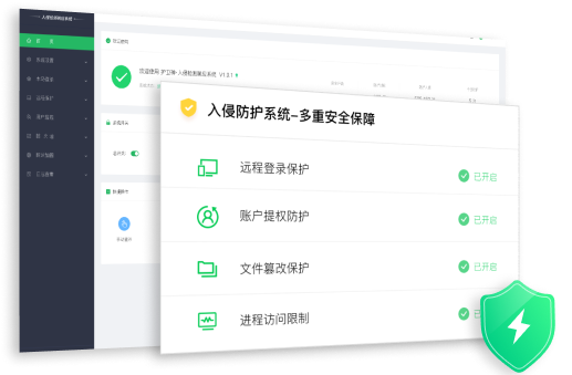 入侵防护系统（护卫神）